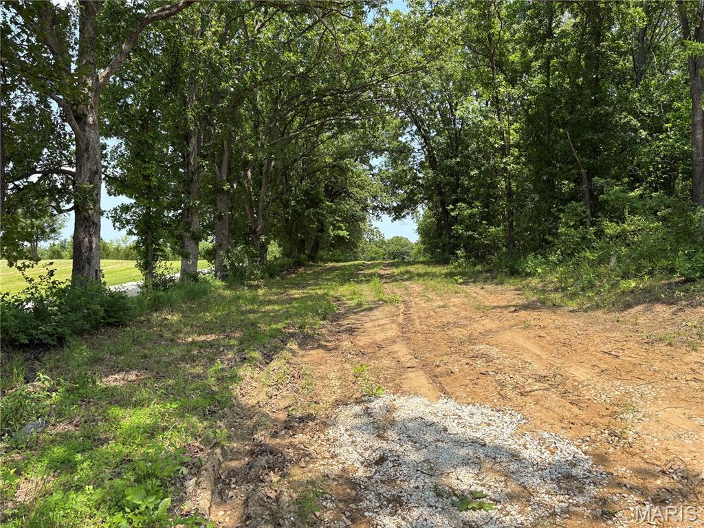 671 Birkhead Road Property Photo 19