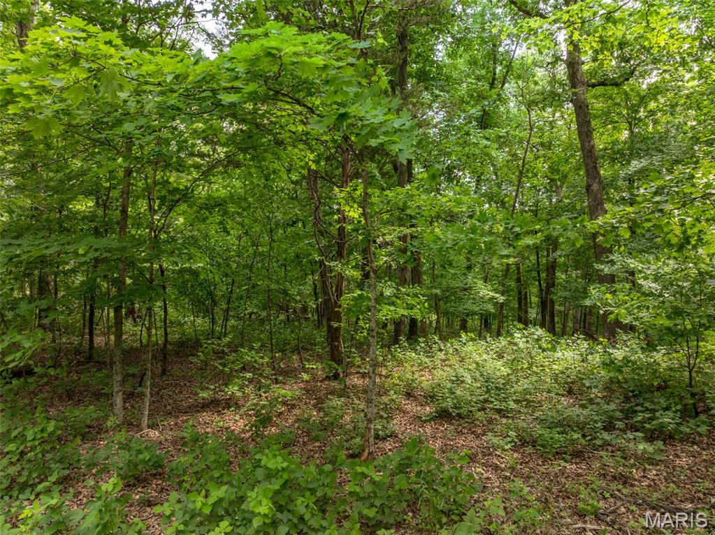 2528 Alpine Trails Drive Property Photo 1