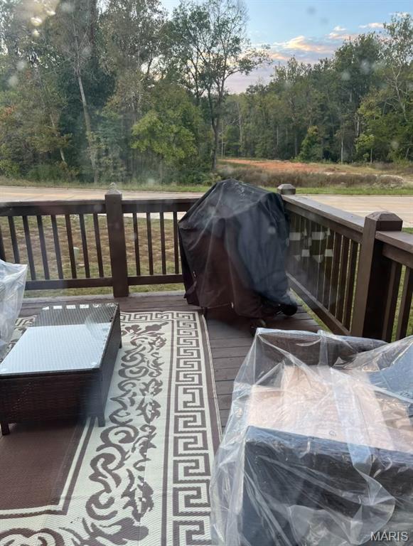 11 Brushy Brook Court Property Photo 15
