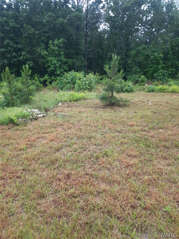 652 Highway Ww Property Photo 1