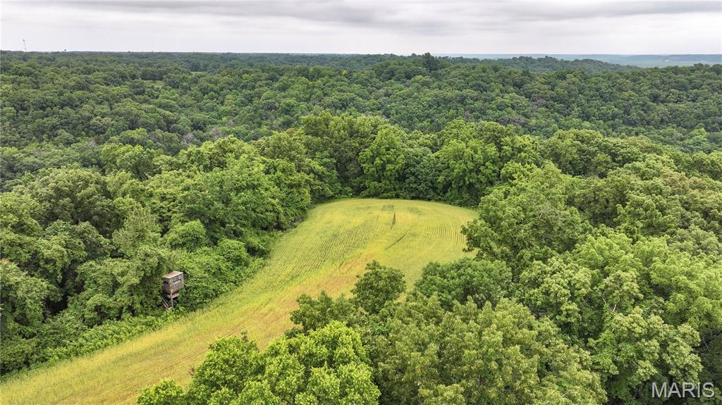 986 Franklin Hill Rd Property Photo 1