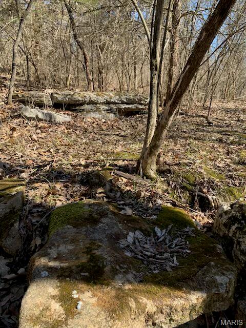 23 Turkey Ridge Court Property Photo 1