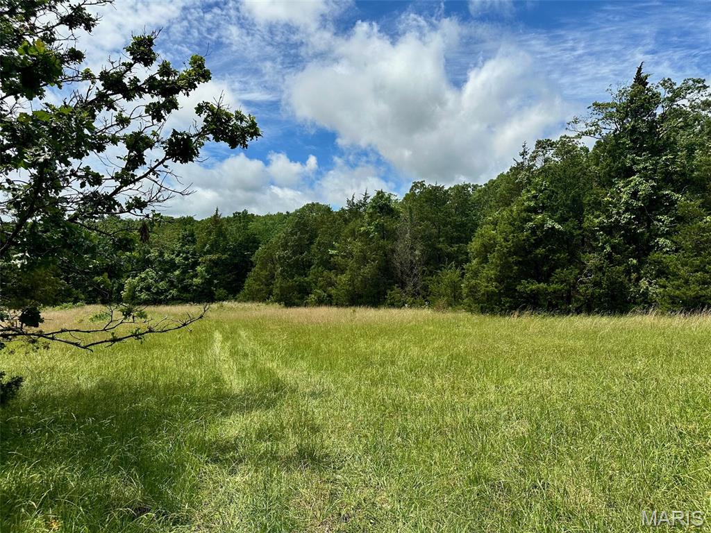 Lot 1 Highway H Property Photo 1