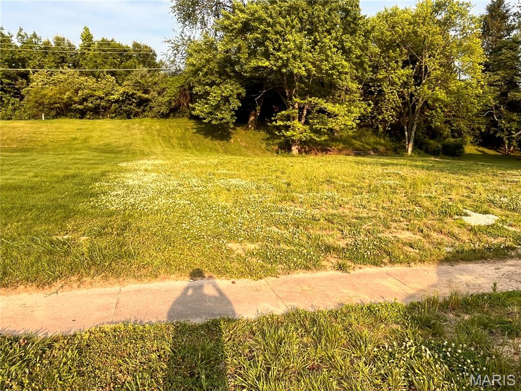 12392 Jerries Lane Property Photo 1