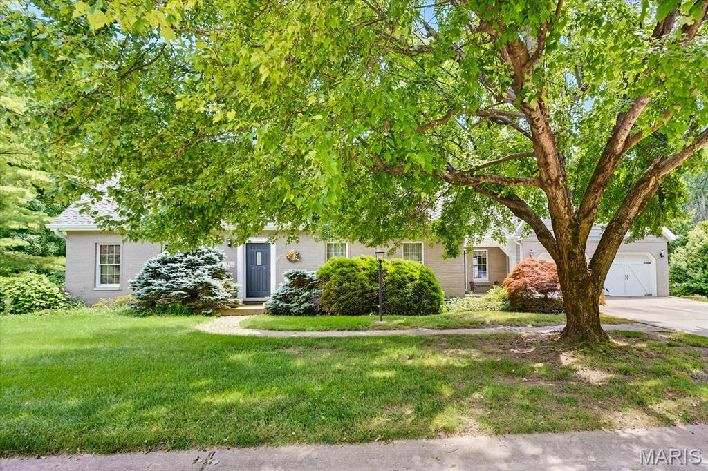12 Forest Hill Property Photo 1