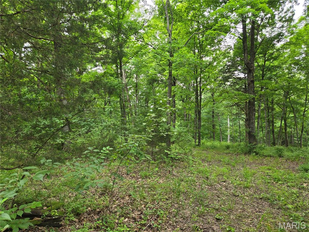 0 Mark Peterson Drive Property Photo 1