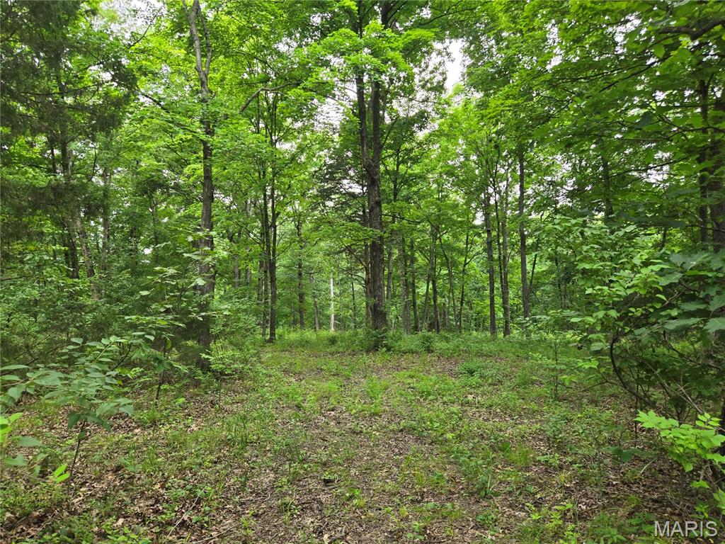 0 Mark Peterson Drive Property Photo 5
