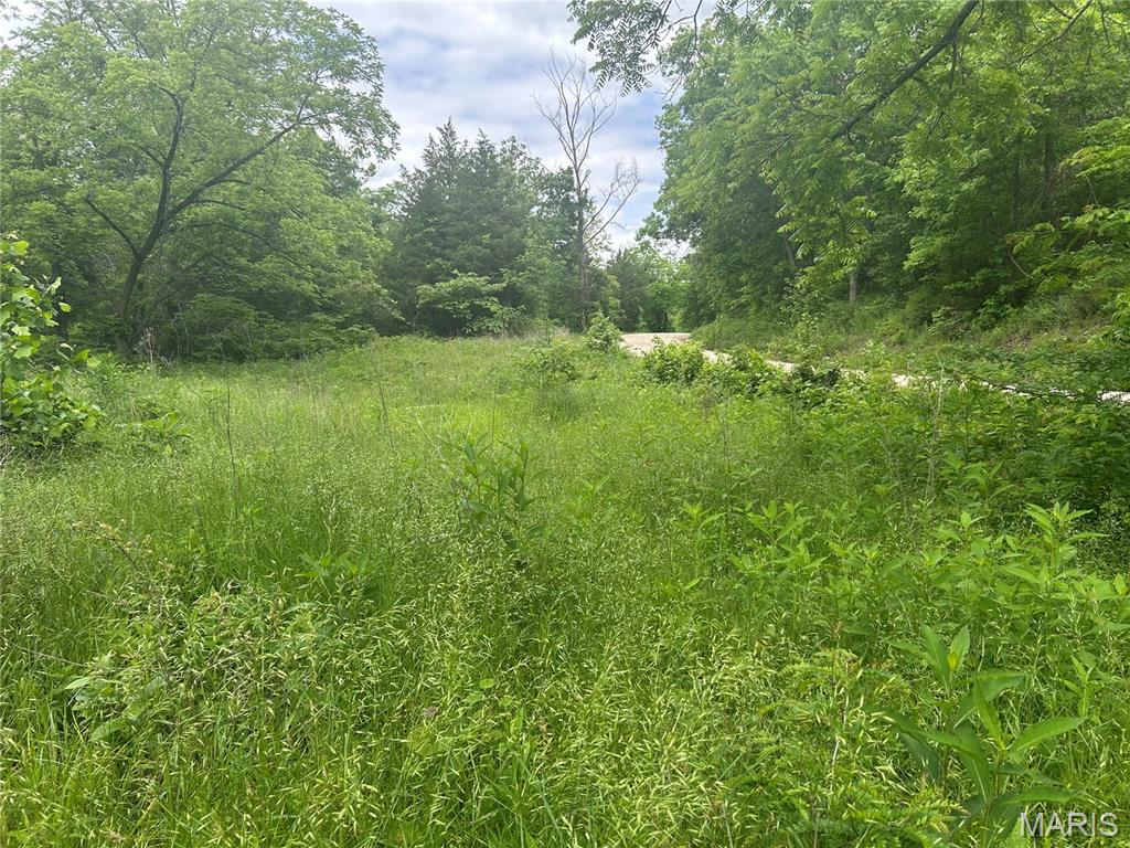 5025 Kolb Hollow Road Property Photo 1