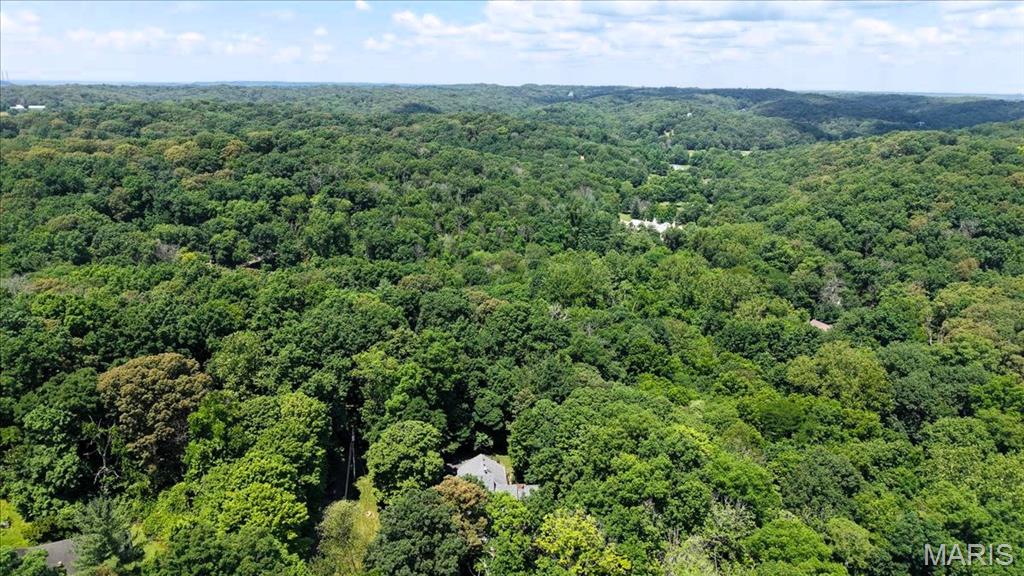 19049 Bear Trail Road Property Photo 67