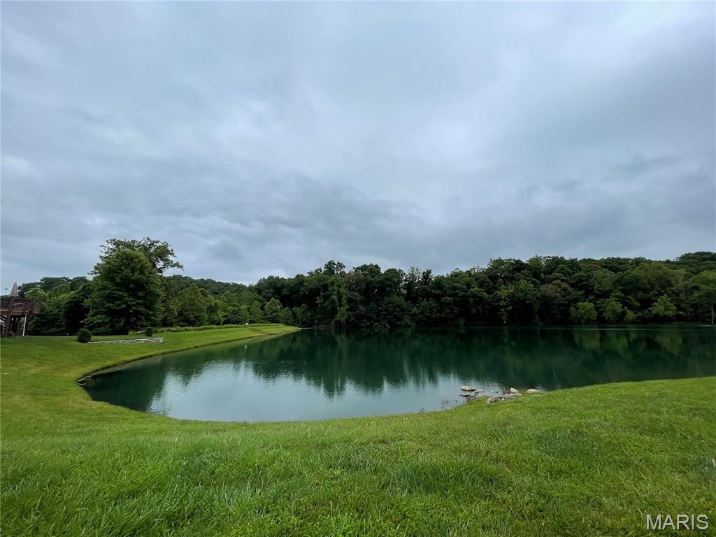 2300 Appaloosa Trail Property Photo 31