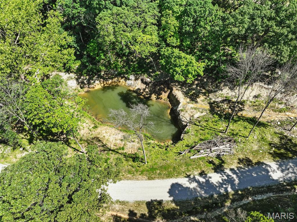 45 +/- Ac Twin River Road Property Photo 1