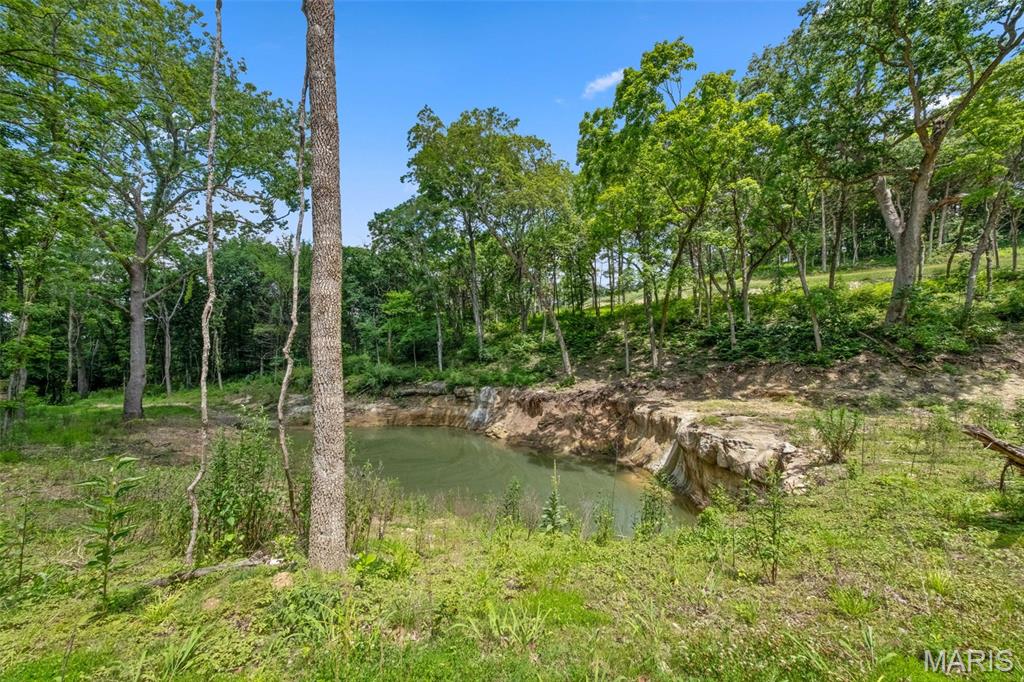 32+/- Ac Twin River Road Property Photo 1