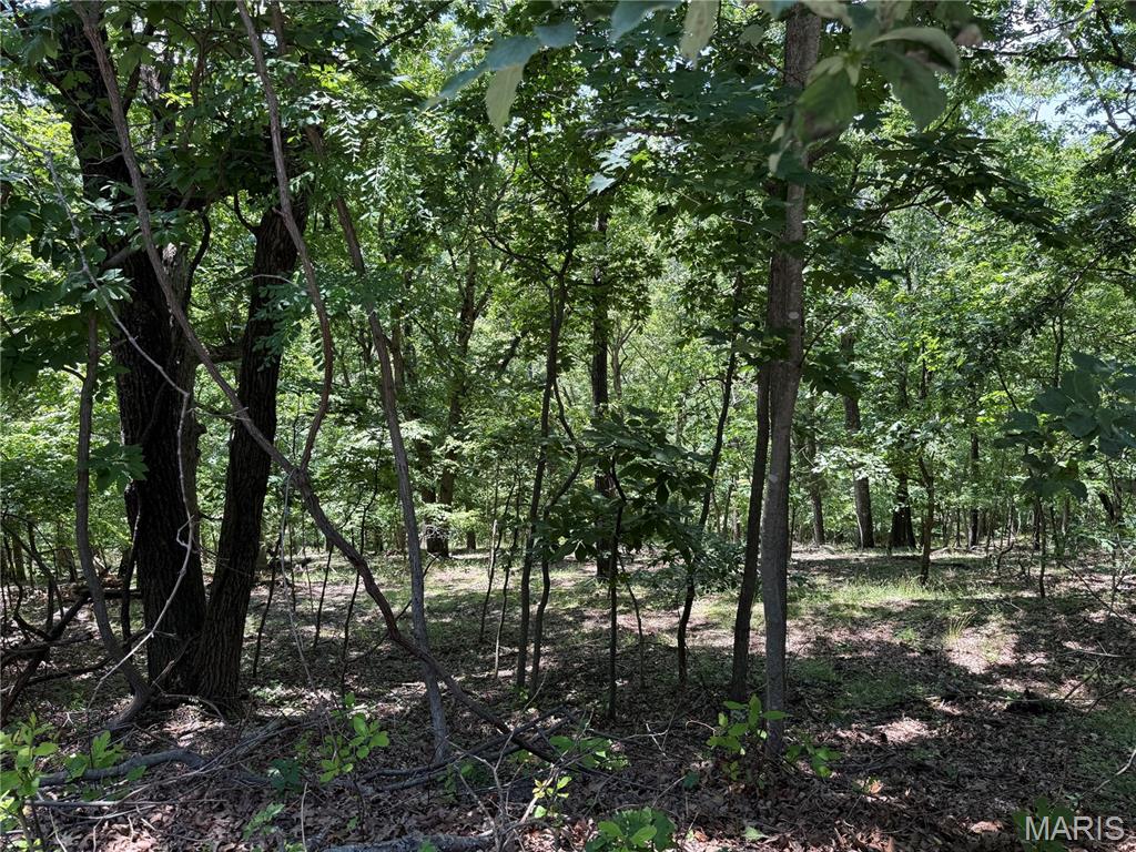 1361 Bear Canyon Road Property Photo 1