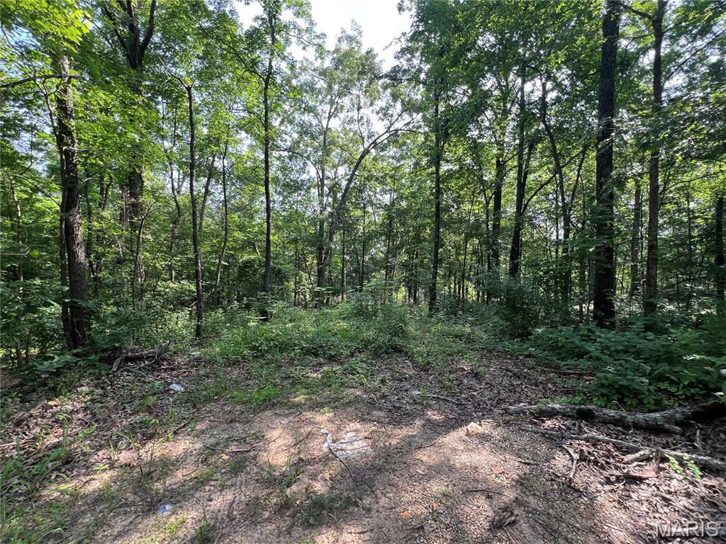0 Lakeview Dr Property Photo 1