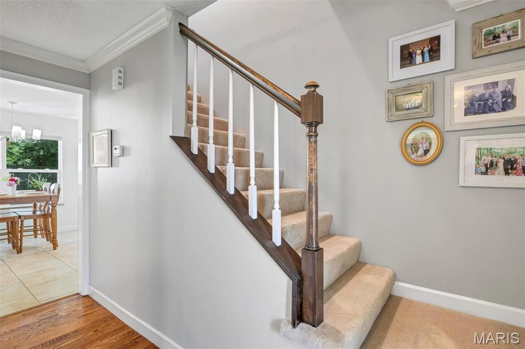108 Tara Ridge Court Property Photo 30