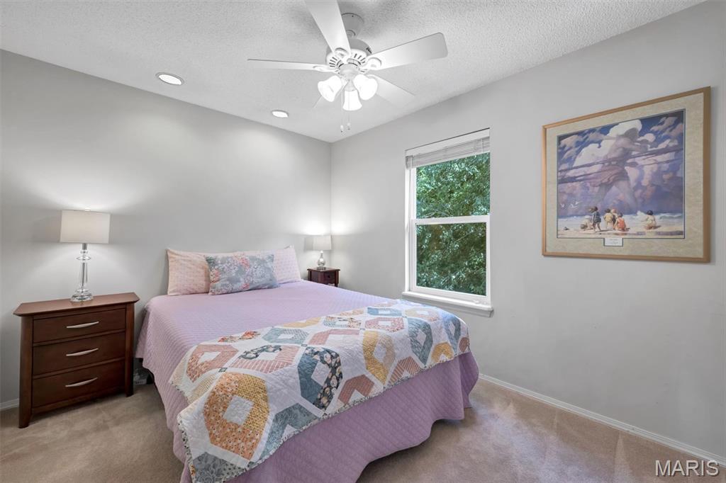 108 Tara Ridge Court Property Photo 41