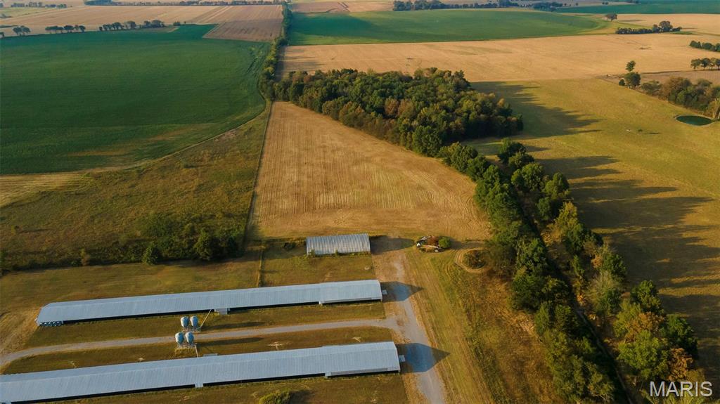 1369 County Highway 408 Property Photo 6