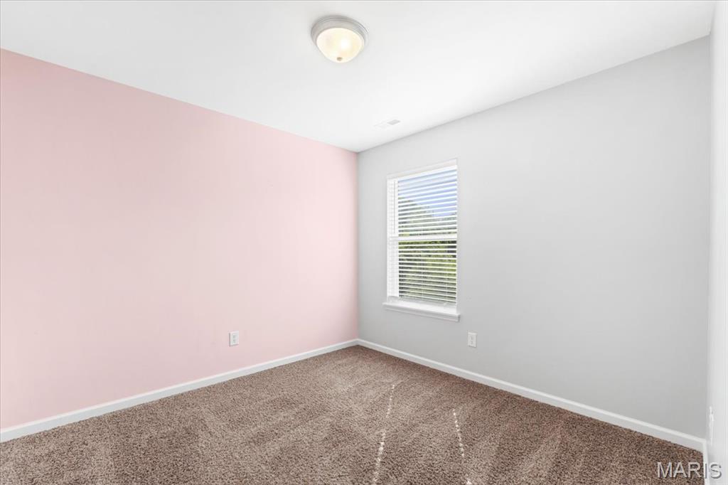 3524 Yellow Jasmine Drive Property Photo 22