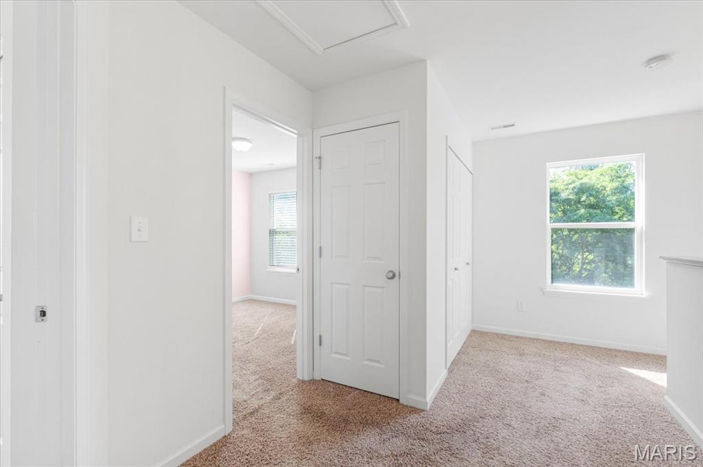 3524 Yellow Jasmine Drive Property Photo 27