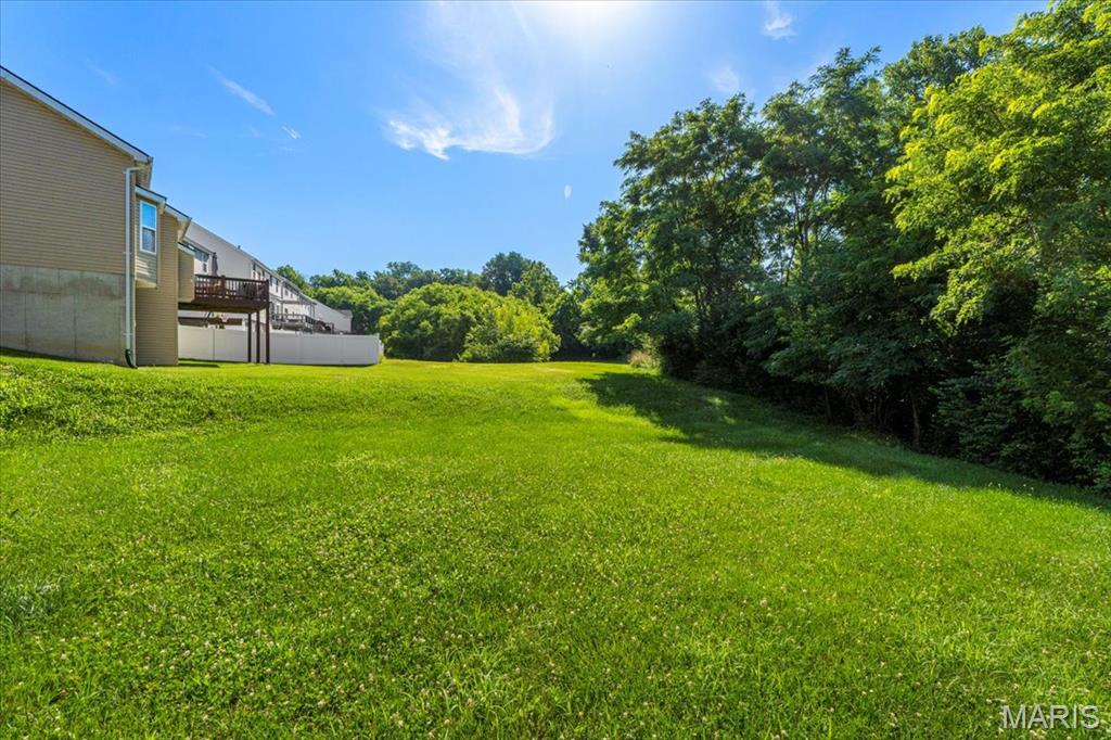 3524 Yellow Jasmine Drive Property Photo 30