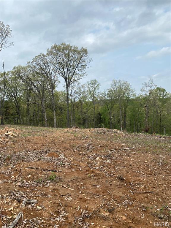 8819 Helujon Acres Drive Property Photo