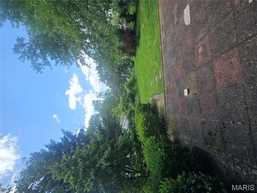 7 Milbrook Lane Property Photo 23