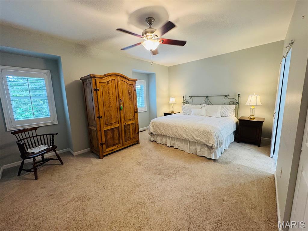 10935 Vauxhall Drive Property Photo 14