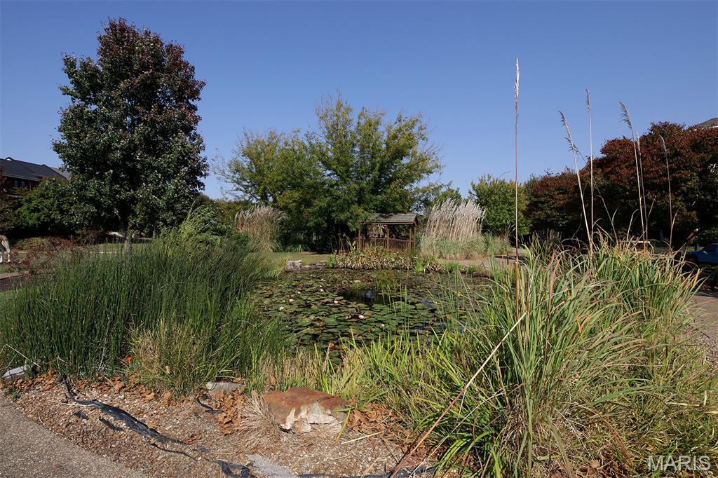 3092 Pirogue Street Property Photo 20