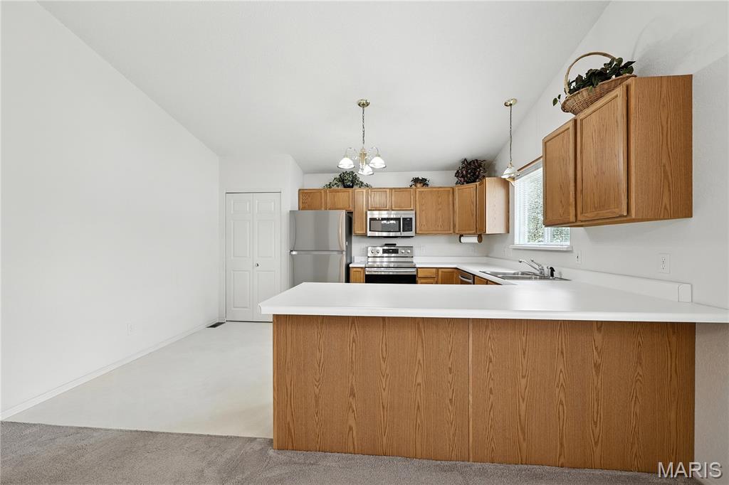 1516 Lienemann Drive 26 Property Photo 22