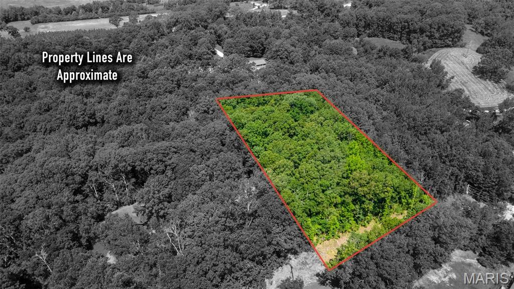 Lots B-63&65 Bella Vista Dr Property Photo 1