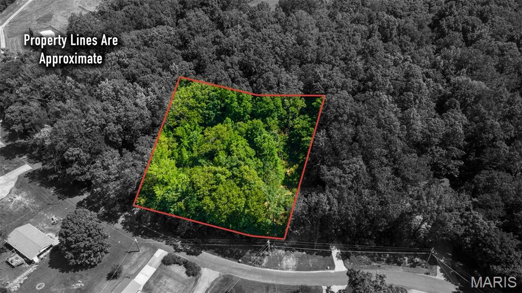 Lots B-47&45 Bella Vista Property Photo 1