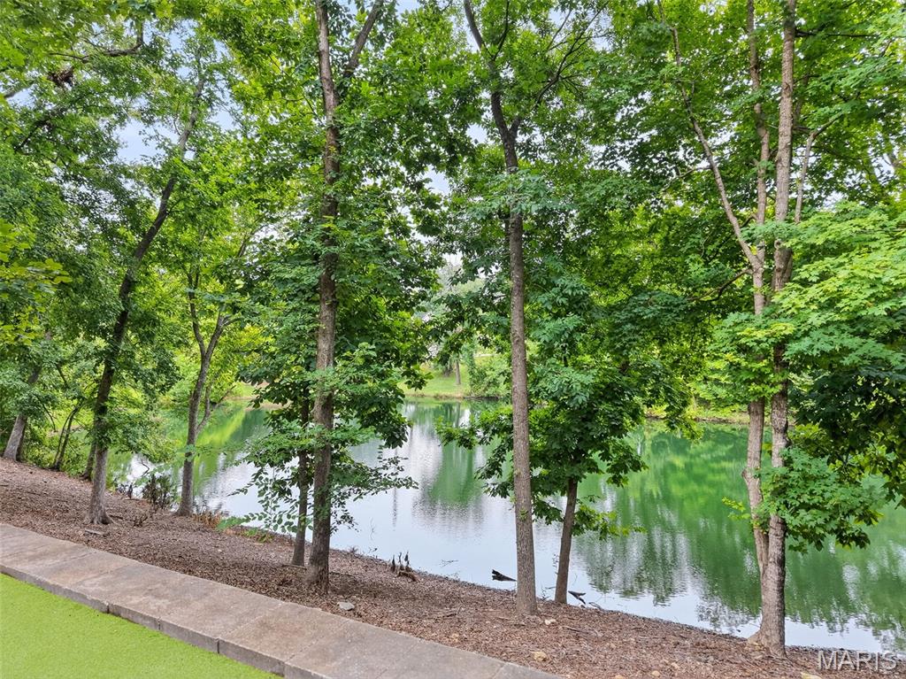 12 Prairie Lake Court Property Photo 17