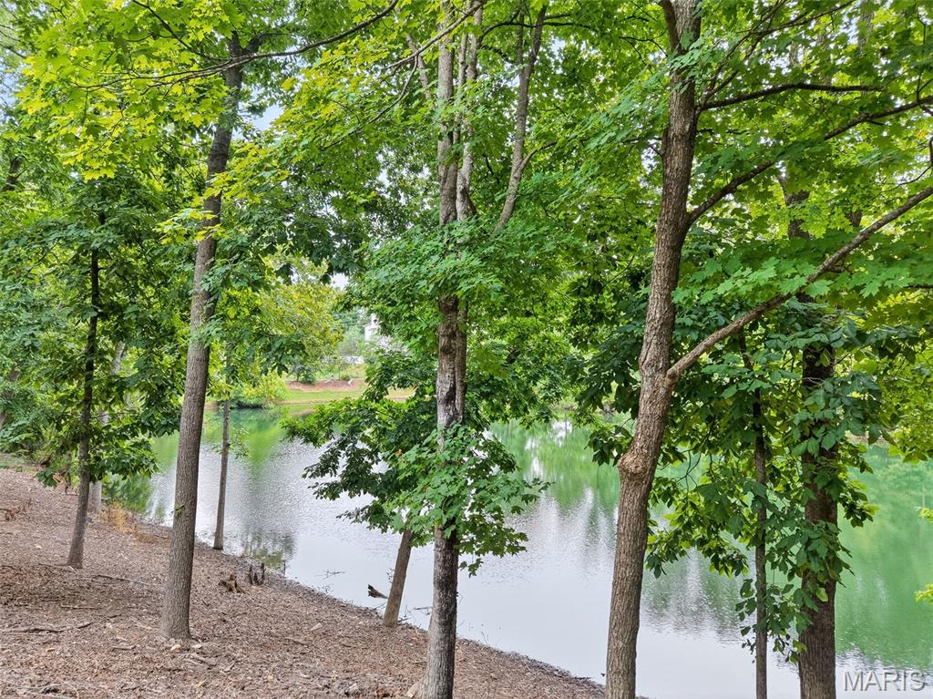 12 Prairie Lake Court Property Photo 22