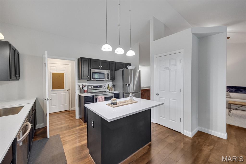 2908 Elderwood Circle Property Photo 12