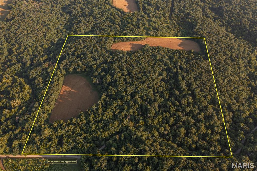 0 Collins Rd Collins Property Photo 1