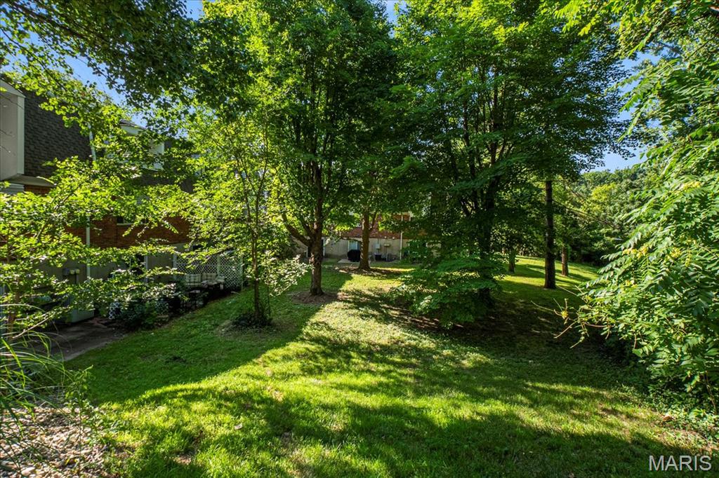 1001 Lafayette Court Property Photo 18
