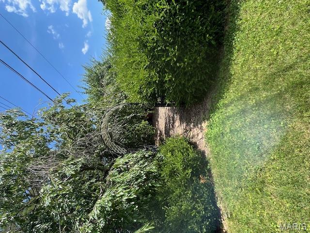644 Morris Avenue Property Photo 32