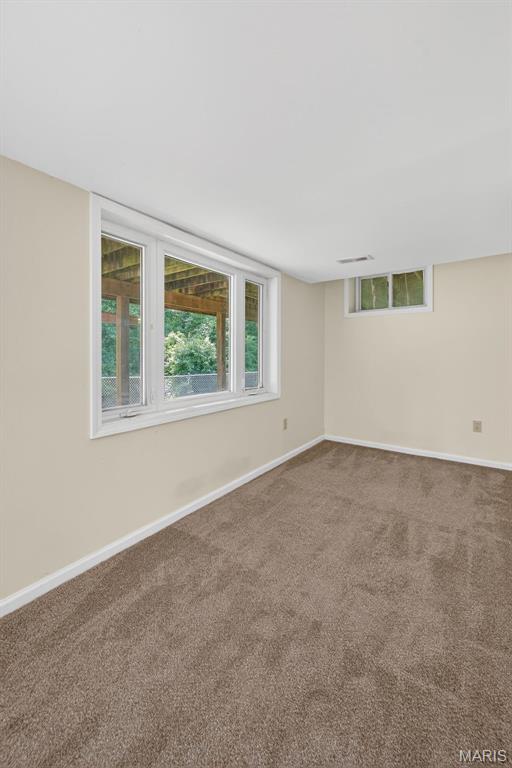 12282 Thomas Patrick Court Property Photo 30