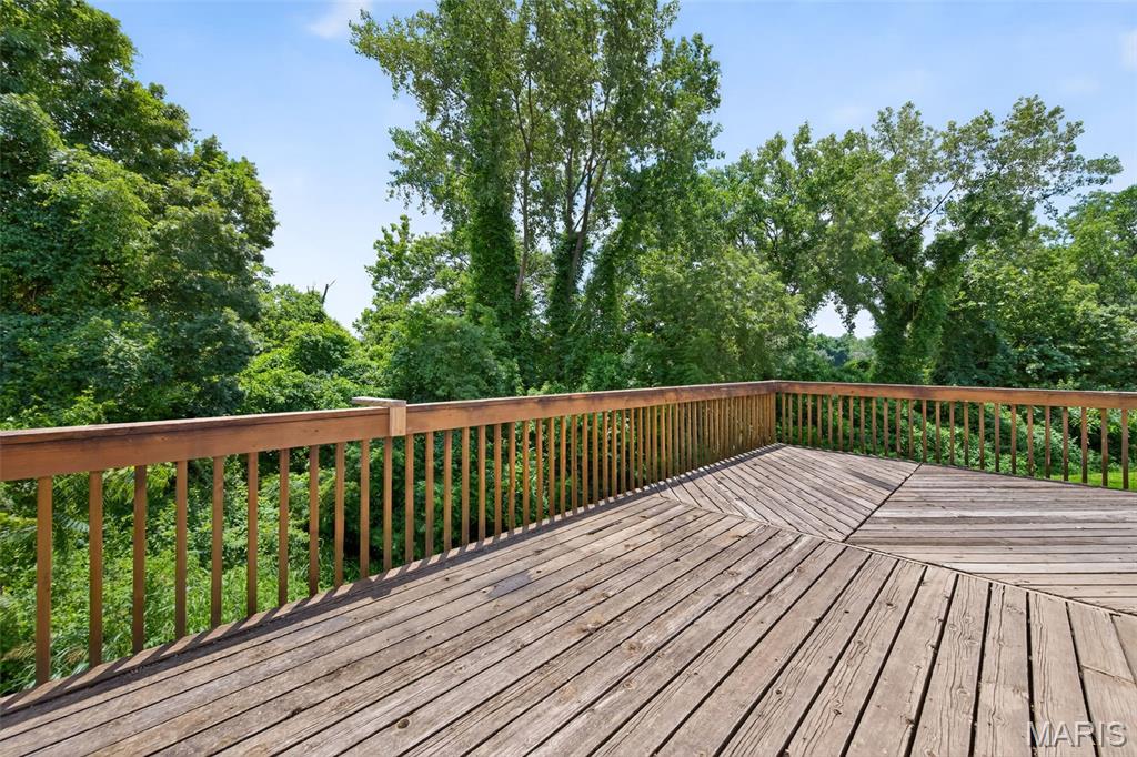 12282 Thomas Patrick Court Property Photo 34