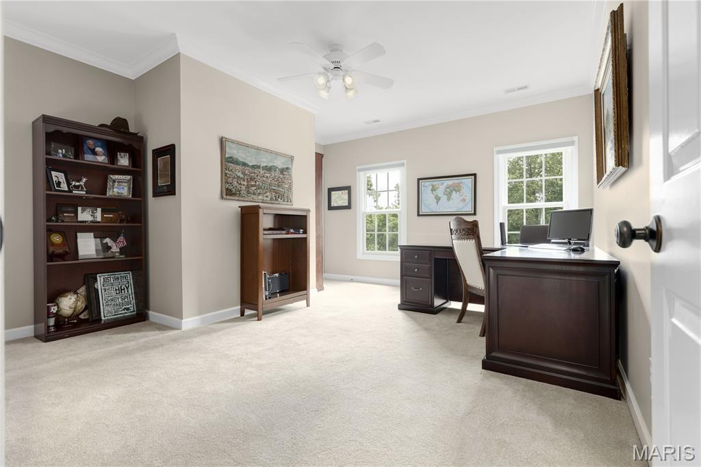 16656 Annas Way Property Photo 38