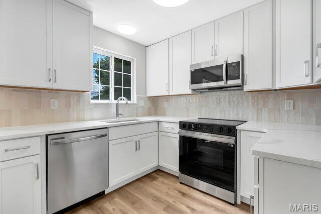 161 Harvest Moon Court A Property Photo 3
