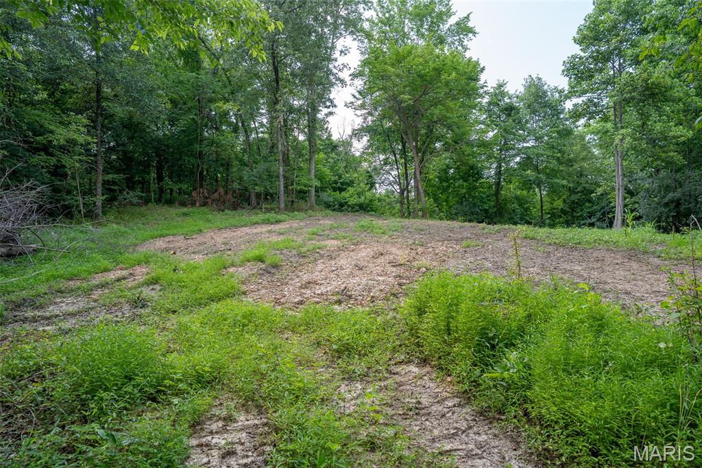 0 Old Sprigg Street Road (tract# 4) Property Photo 8