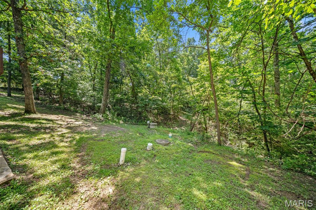 12931 Squirrel Run Property Photo 45