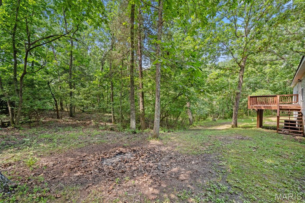 12931 Squirrel Run Property Photo 48