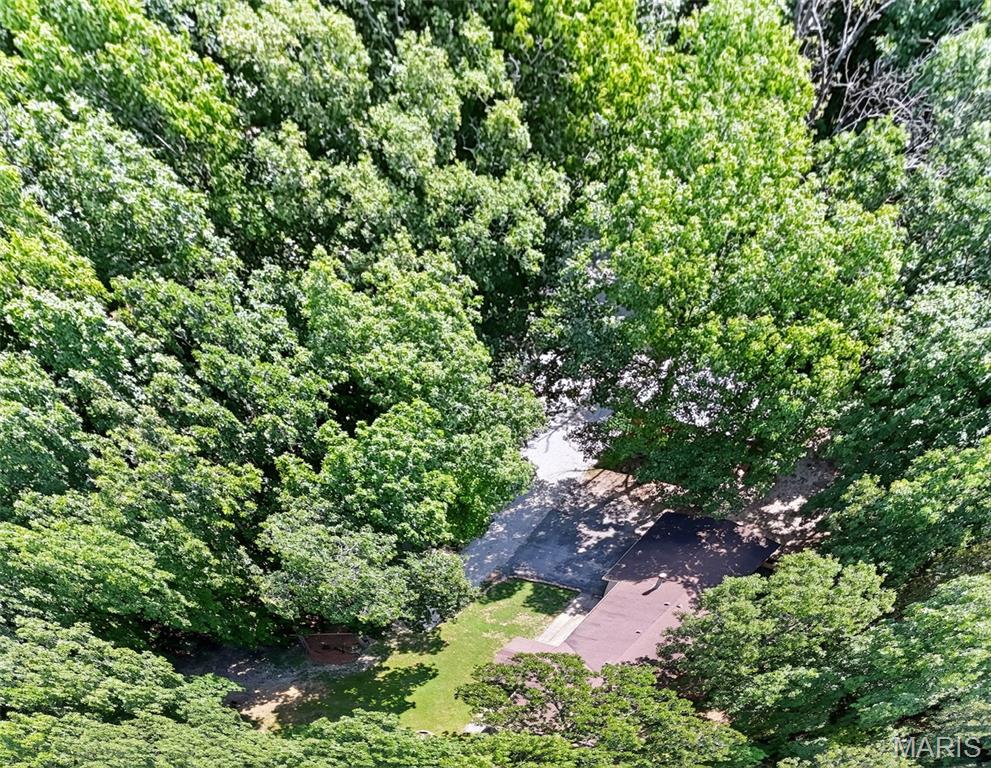 12931 Squirrel Run Property Photo 49