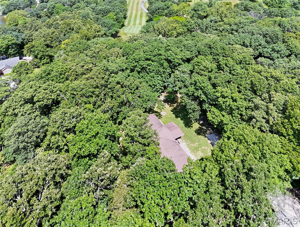 12931 Squirrel Run Property Photo 50