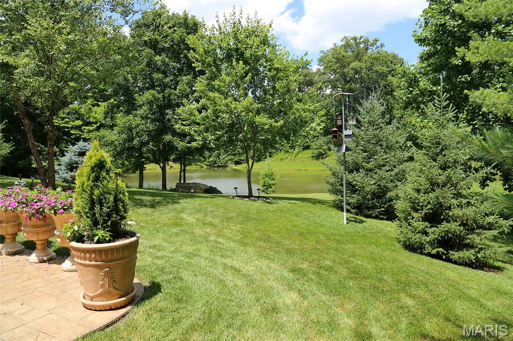 27 Carlton Lake Court Property Photo 5