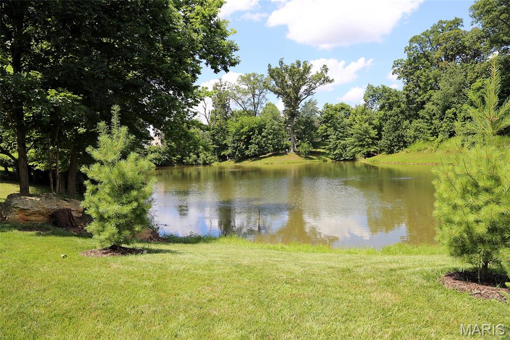 27 Carlton Lake Court Property Photo 6