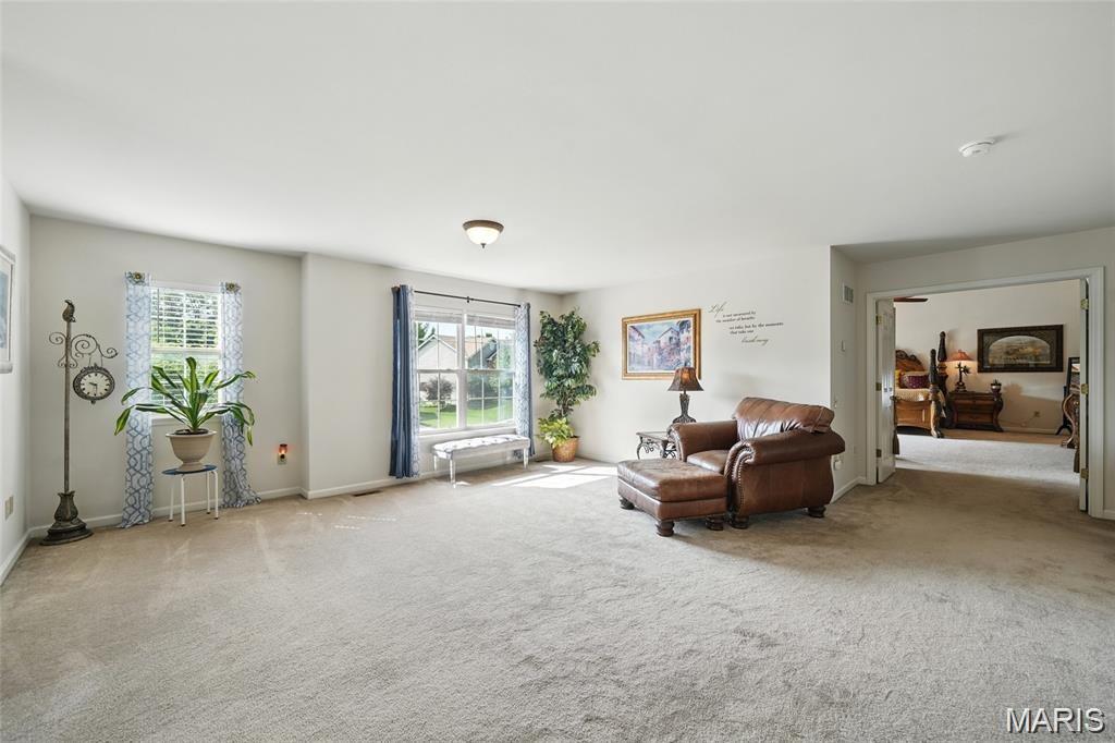 27 Carlton Lake Court Property Photo 19