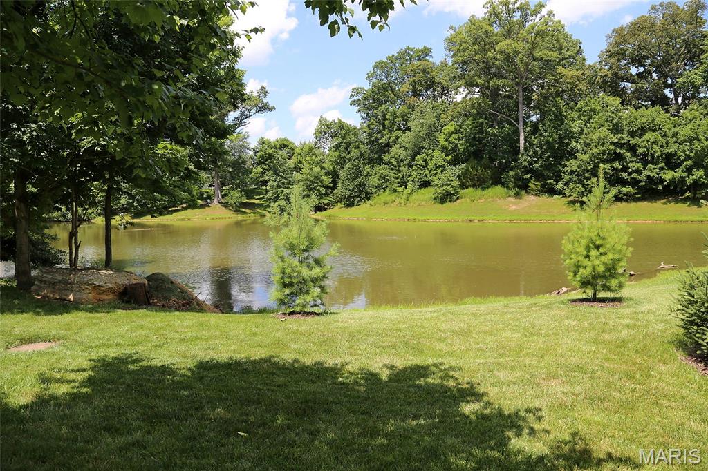 27 Carlton Lake Court Property Photo 31